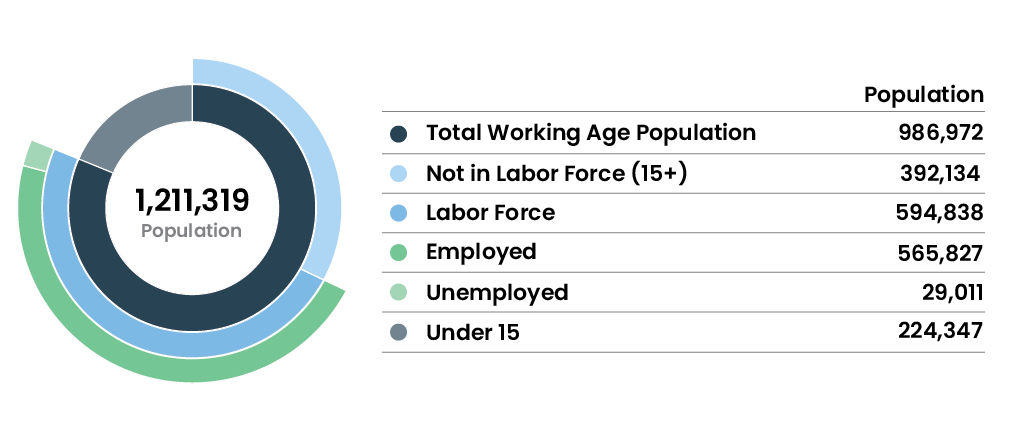 Labor Force Chart